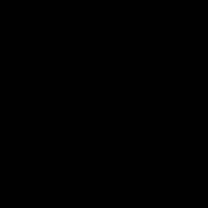 Meet your Posher, Hallie